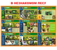 Комплект плакатов "В незнакомом лесу" (10л.ФА3)